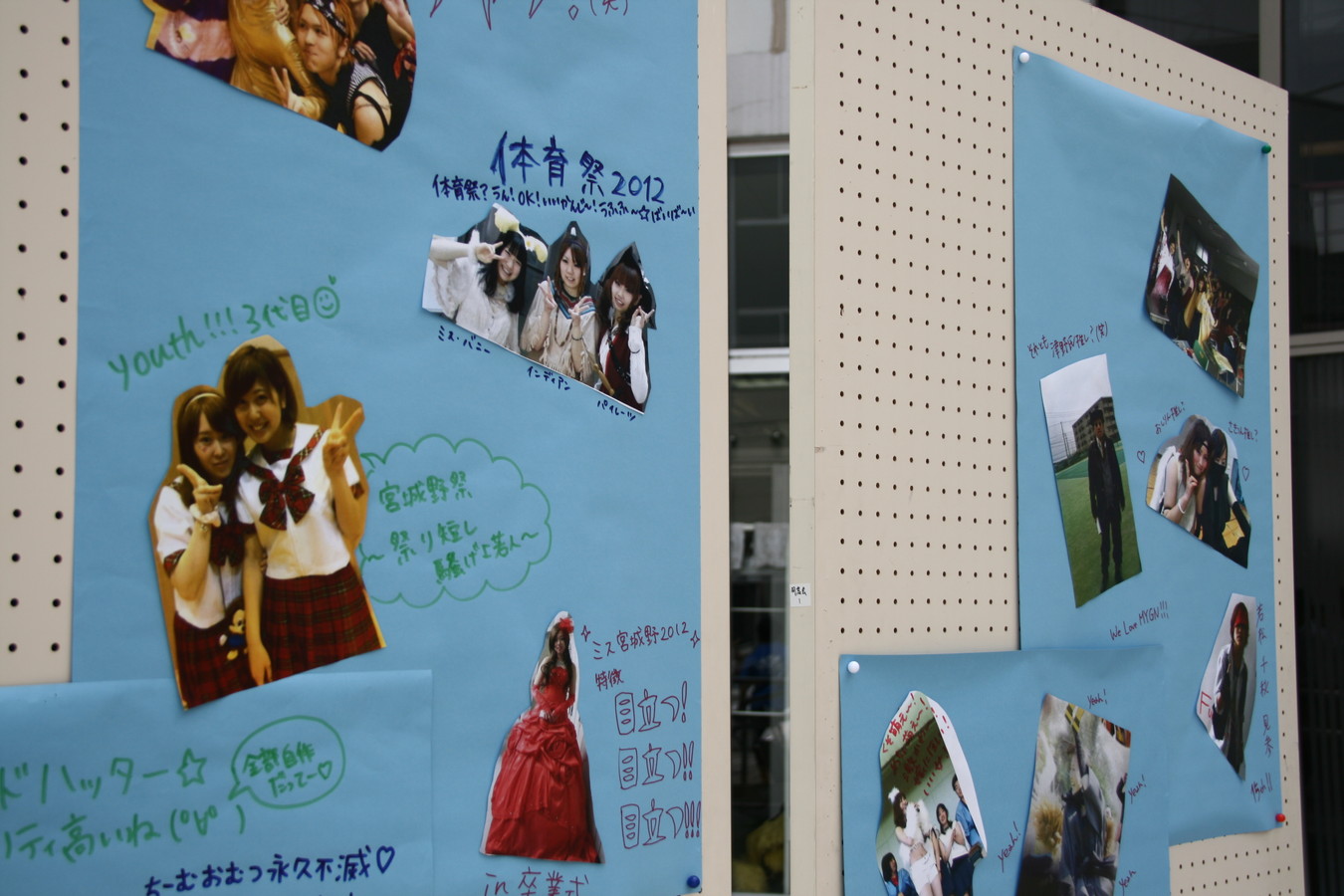 宮城野高校文化祭に出展しました